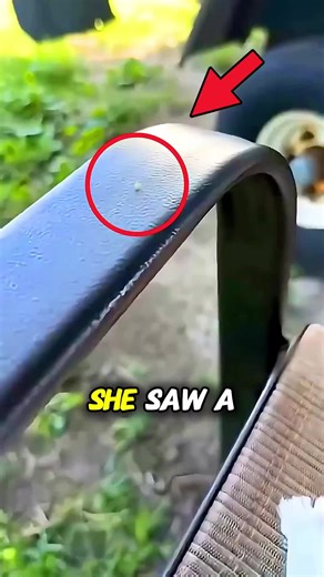 Wait... Is That Bug Performing