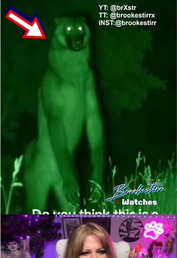 The STARE of the Michigan DOGMAN Captured deep in the woods... 🌲🐾 Is it a myth, or is the Dogman real? Those eyes tell a different story. What would you do if you checked your trail cam and saw this? 😱 This clip shows a