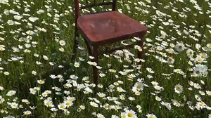 自然の壁紙 壁紙 自然の壁紙Hd - Free video on Pixabay