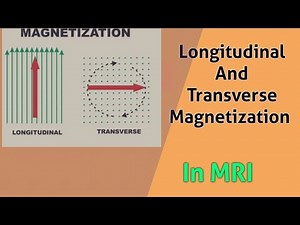 longitudinal and transverse magnetization in mri | longitudinal and transverse magnetization in mri