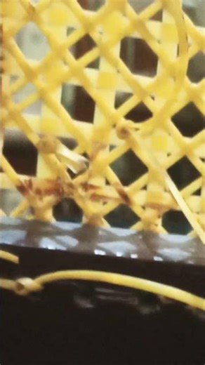 🧙 Magic: The Gathering – Gandalf Scene Box Collector Set