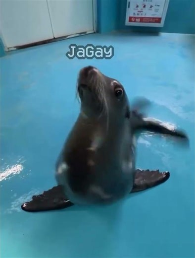 Portal (5) #portal2 #portalgame