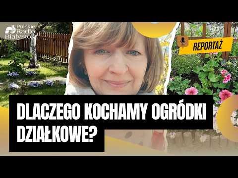 Dlaczego Polacy kochają działki? Reportaż o 300 metrach wolności. (ROD - Rodzinny Ogród Działkowy)