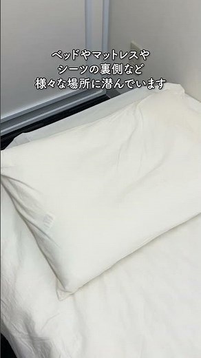 アース製薬が教えるトコジラミ対策3選 #トコジラミ #サラテクト #ゼロノナイト