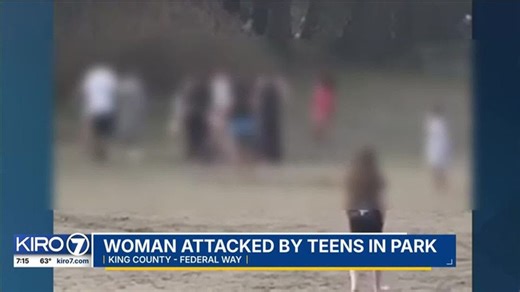 Video shows woman being attacked by teens in park | Haystack News
