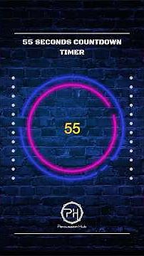 55 SECONDS COUNTDOWN TIMER