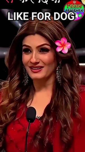 World’s Most Athletic Dog! Malinois High Jump Challenge 🔥 #dog