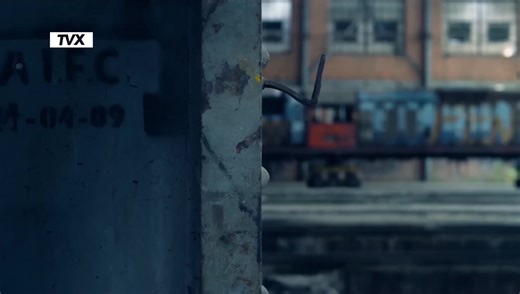 #Dalmata - #DeseoAnimal 2.0#TVX #HIT #MV