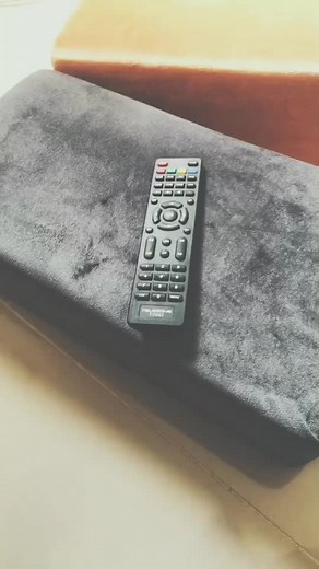 Remote Control Usage in Domestic Settings