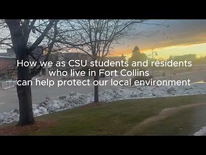 A3 Project-Cohen Lynch