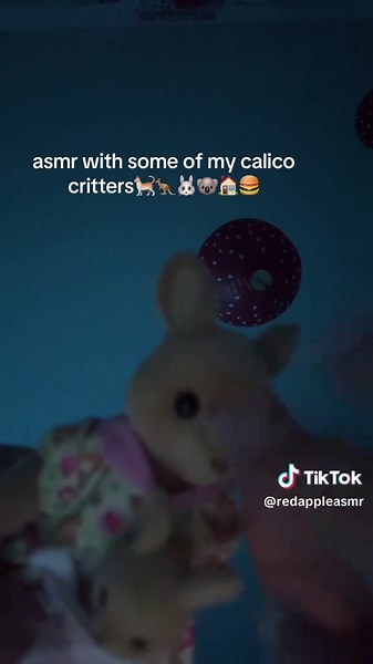 sorry it’s not the best #calicocritters #asmr #foryou #fyp #lofiasmr #relax #newaccount #foryoupage