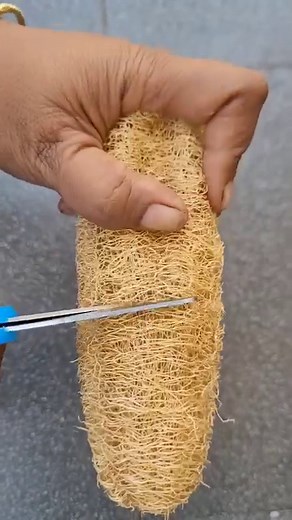 3.2M views · 14K reactions | Chemical free Dish washing using Eco Scrubber and Natural lemon dishwasher #ecodishwashing #ecocleaners #naturalcleaningproducts #naturaldishwash #dishwashingliquid #dishwasher #chemicalfreelife #SelfSustsainablelife #sustainableliving #ecofriendly #ecodetergent | Self Sustainable Life | Facebook