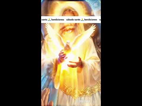 Transmisión en directo de Reforma Reformasotto