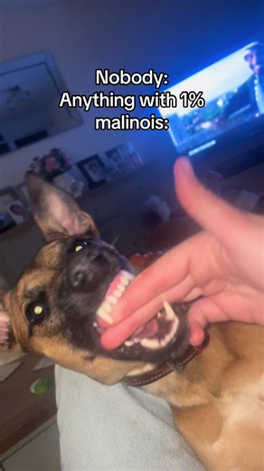 Fetch Me Their Souls: A Lighthearted Approach