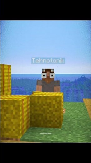 Minecraft Not House Village Island Seed Moment