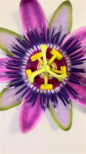 Just finished a passion flower out of cardboard and paper mache! #papermache #papiermache #art