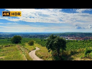 🌤️ Calm Midday Vineyard Walk | Peaceful 4K Journey Under a Dramatic Sky
