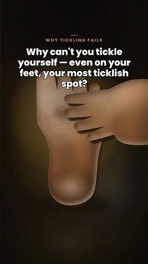 Why can't you tickle yourself — even on your feet, your most ticklish spot?