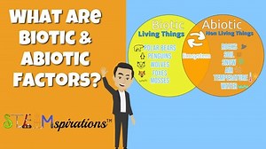 Ecosystems | What are Biotic & Abiotic Factors?