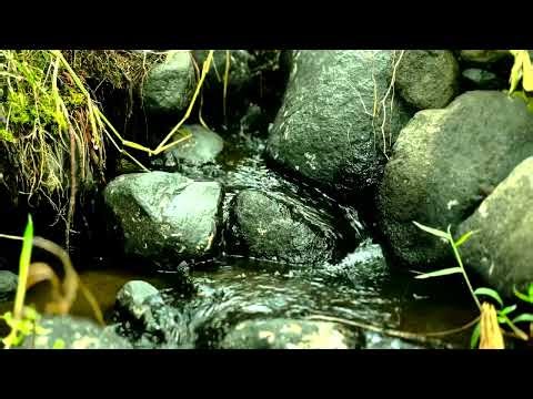 Fresh Spring Water Sounds for Sleep – Natural Rock ASMR Relaxing, Water Sounds
