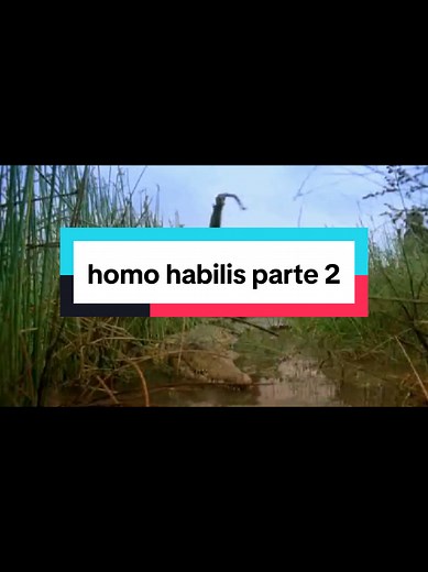 El origen de Homo habilis: Parte 2