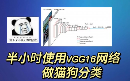 使用pytorch框架手把手教你利用VGG16网络编写猫狗分类程序