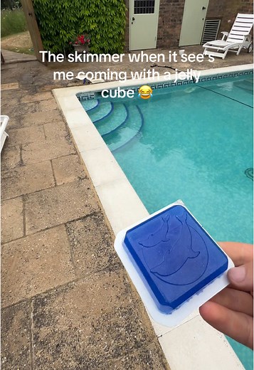 The Skimmer's Delight: Pool Fun with Jelly Cubes