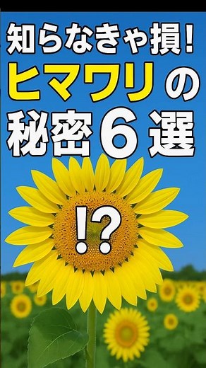 【必見】ヒマワリ驚きの秘密6選！ #ヒマワリ #花雑学 #植物 #夏の花 #トリビアの樹 #shorts