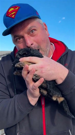 Survival Skills: Useful and Clever #outdoors #survival #campfire #bushcraft