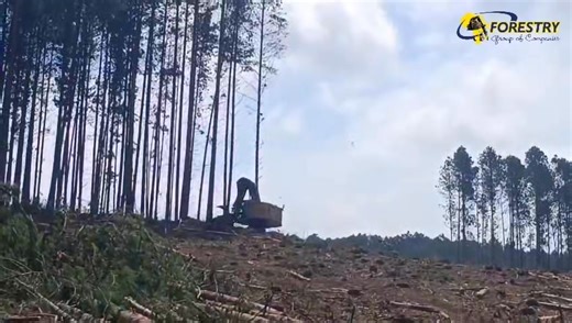 1.2K views · 34 reactions |  Power, Precision, and Performance in...