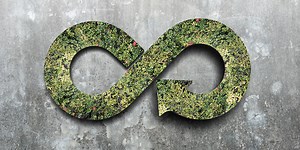 Circular Innovation and Sustainability