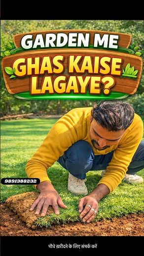 Garden Me Ghas Kaise Lagaye | Easy Lawn Setup #gardening #lawngrass #garden #gardencare