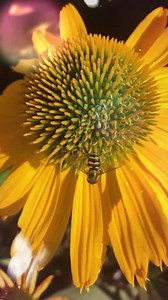 47K views · 5.6K reactions | Beautiful Gifs. on Reels | Facebook