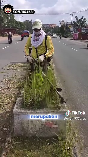 Mesin Potong Rumput dan Kabel Ties Nilon: Fakta Menarik