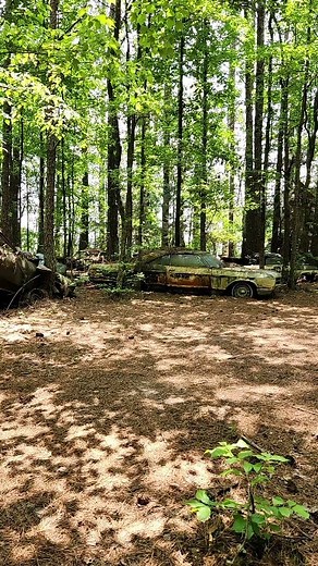 Walking through Old Car City | The Auto Archaeologist