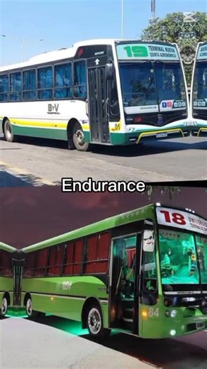 linea 18 vs linea 19