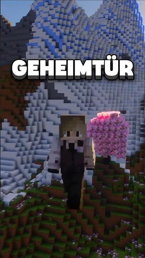 GEHEIMTÜR in MINECRAFT 🤫 #minecraft #tutorial