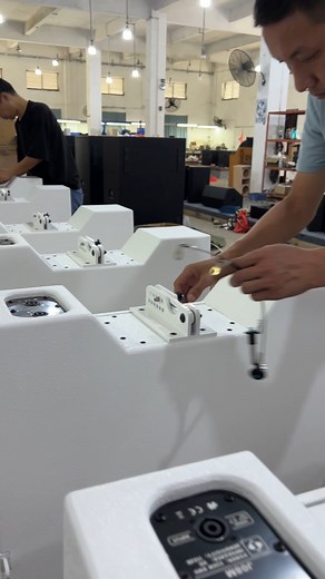 12K views · 130 reactions | White # Double 8-inch Linear Array # Made...