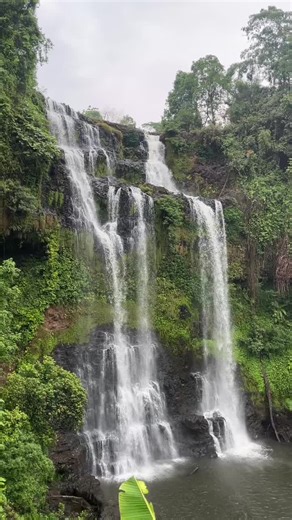 Army_Pakse 🇻🇳🇱🇦🚛💨 (@amy_pakse_laos01)’s videos with Theme from