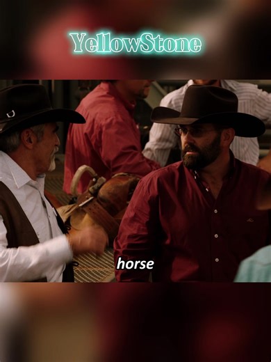 Bucking Horse Highlights from Yellowstone