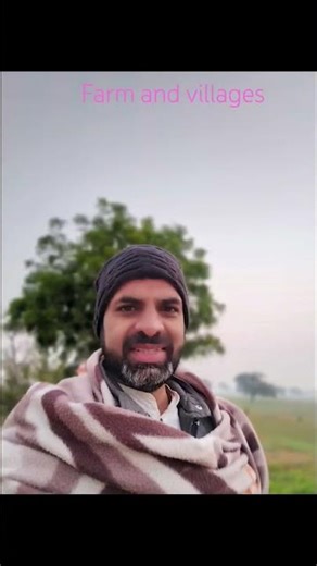 सरसों 38 दिन #agrifuture #farmandvillages #farmingtraditions #shorts