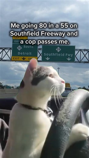 Just another day on Southfield Freeway #detroit #Michigan #southfieldfreeway | Wayne County Wire