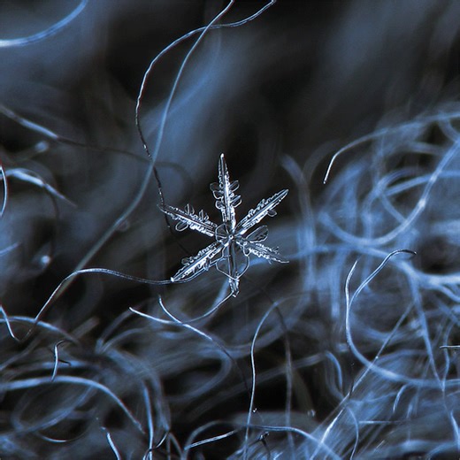 🚨❄️ Winter Storm Update from Rock Cave IGA ❄️🚨 Alright folks… the weather channel is using big dramatic hand motions, so you know what that means. A winter storm is on its way and we want everyone to be safe, smart, and sensible. THAT SAID… Yes, we did get a truck yesterday. Yes, we did put product on the shelves. And yes… history tells us it will probably be gone faster than milk during a French toast emergency. 🥛🍞🥚 If you need a few essentials, swing in early. If the shelves look a little