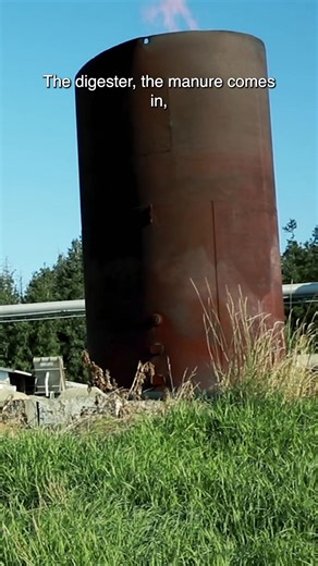 Vander Haak Dairy won a sustainability award for their methane digester that turns manure and waste into renewable gas! How cool! #ndafarmfridays