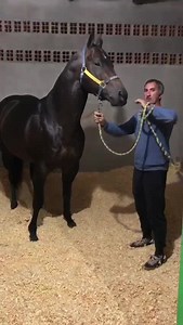 🗣️ CONFIRMACIÓN: 🐎#SAPUCAY 🔥🚀👌🏻 🏆Super Clásico Interprovincial - 325 MTS ✓ SAPUCAY le otorga el corte a pico jamón a su contrincante 🐎#LA_REINA ✓ Domingo 9 de Octubre 2022 Esquina Football Club - Corrientes | Burreros del Sur.