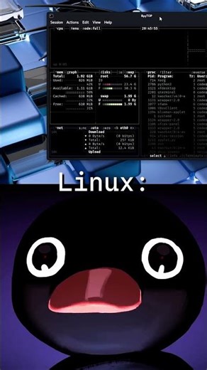 RAM Usage: Windows vs Linux