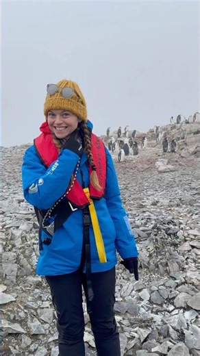 Chinstrap Penguins have 10,000 naps per day! 🐧