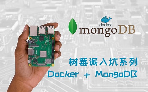 树莓派入坑系列 Part-6 Docker配置安装MongoDB