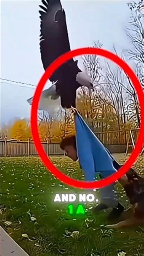 Top 3 Dogs Who Saved Their Owners From Danger 🐶🔥 | Real Life Hero Dogs Moments #rescuedogs