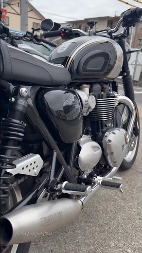 Remus Exhaust On Triumph Bonneville T120 Pure Sound #triumpht120 #bonnevillet120 #triumphbonneville